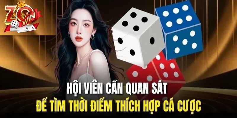 Hiểu Rõ Bản Chất Và Xác Suất Trong Game Tài Xỉu