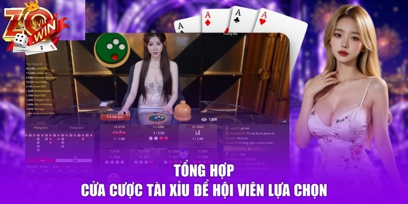 Kinh Nghiệm Vàng Giúp Tân Thủ Tối Ưu Tỷ Lệ Thắng