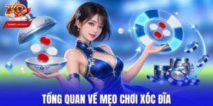 Các Bí Quyết Soi Cầu Mẹo Chơi Xóc Đĩa Zowin Chi Tiết